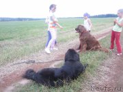 Превью фото № 212102