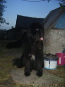 Превью фото № 212142