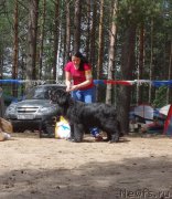 Превью фото № 212157