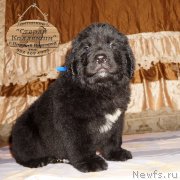 Превью фото № 212167