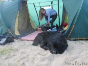 Превью фото № 212180