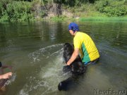 Превью фото № 212184