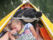 Превью фото № 212189