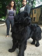 Превью фото № 212229