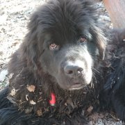 Превью фото № 212296