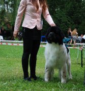 Превью фото № 212306