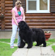 Превью фото № 212324