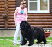 Превью фото № 212325