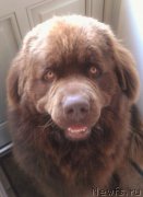 Превью фото № 212374