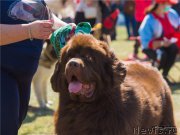 Превью фото № 212381