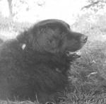 Превью фото № 2124