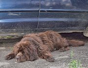 Превью фото № 212418