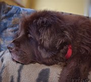 Превью фото № 212431