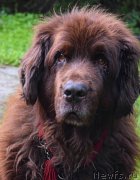 Превью фото № 212441