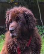 Превью фото № 212442