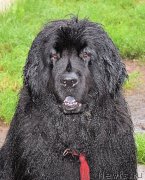 Превью фото № 212452