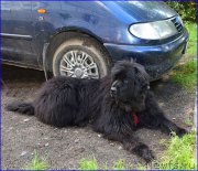 Превью фото № 212456