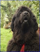 Превью фото № 212463