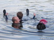 Превью фото № 212467