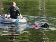 Превью фото № 212468