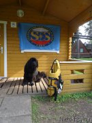 Превью фото № 212469