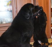 Превью фото № 212489