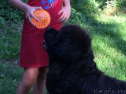 Превью фото № 212492