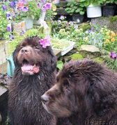 Превью фото № 212497