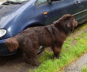 Превью фото № 212498