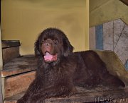 Превью фото № 212499