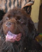 Превью фото № 212509