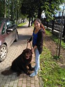 Превью фото № 212532