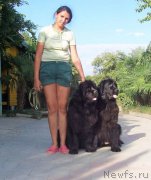 Превью фото № 212540