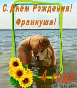 Превью фото № 212557