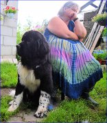 Превью фото № 212562