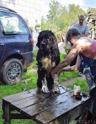 Превью фото № 212566