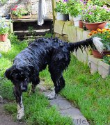 Превью фото № 212567