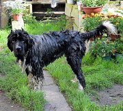 Превью фото № 212570