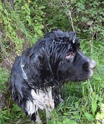 Превью фото № 212571