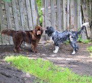 Превью фото № 212572