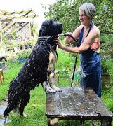 Превью фото № 212573