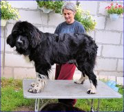 Превью фото № 212581