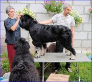 Превью фото № 212585