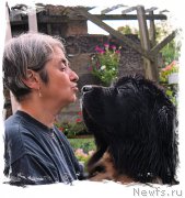 Превью фото № 212618