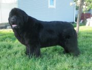 Превью фото № 212622