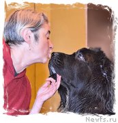 Превью фото № 212625