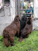 Превью фото № 212640