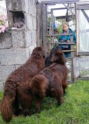 Превью фото № 212641