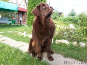 Превью фото № 212652