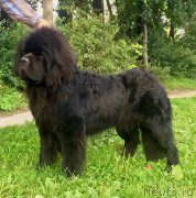 Превью фото № 212681